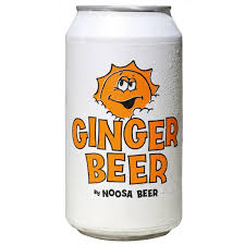 Pack of 16 Paramount Noosa Beer Co Noosa Ginger Beer bottles, 375ml each, with amber glass and label featuring ginger and beer branding.