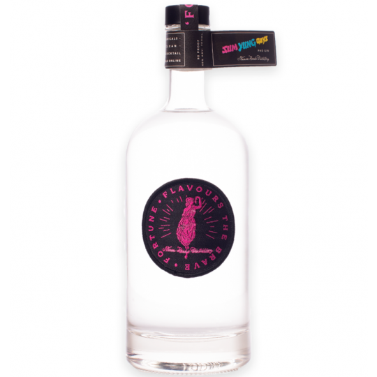 Bottle of Paramount Fortune Vietnamese Pho Gin, Australian dry gin in 700ml glass bottle with label featuring Vietnamese-inspired design.