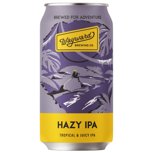 Case of 24 Paramount Wayward Brewing Hazy IPA craft beer bottles, 375ml each, with colorful label design.