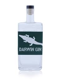 Bottle of Darwin Distilling Co Signature Gin by Paramount, 500ml, with label featuring elegant design and branding.