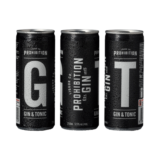 Paramount Prohibition Liquor Co. Gin & Tonic cans, 250ml each, 24-pack, ready-to-drink beverage in sleek can design